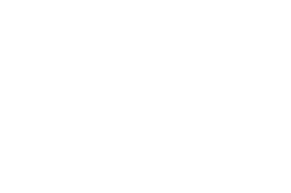 Best Score Artlightenment Art and Film Festival 2016